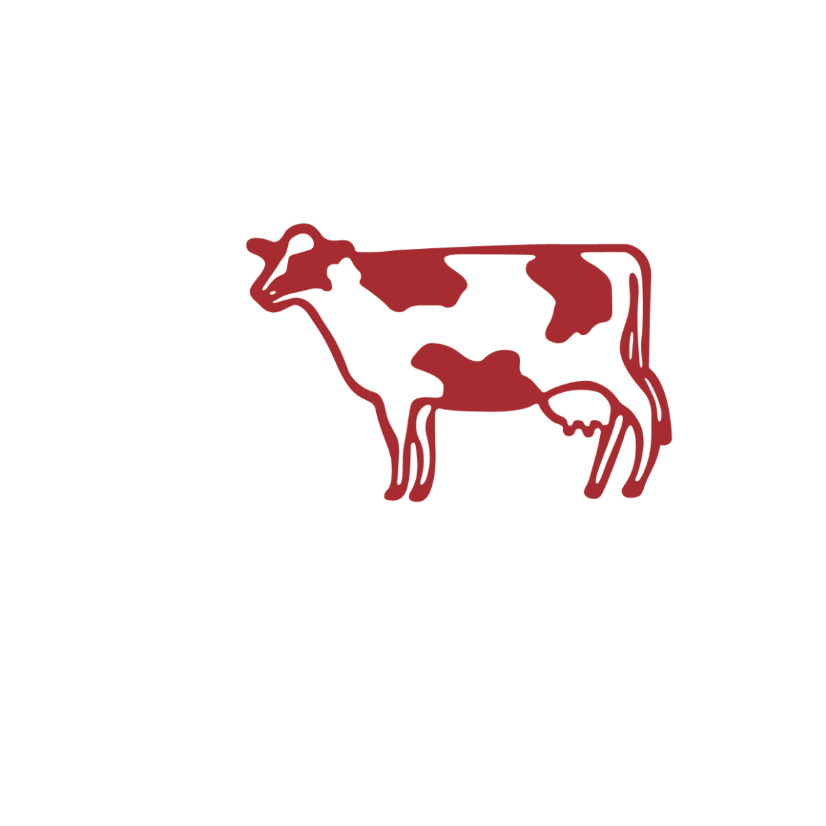 Shelaidah Dairy